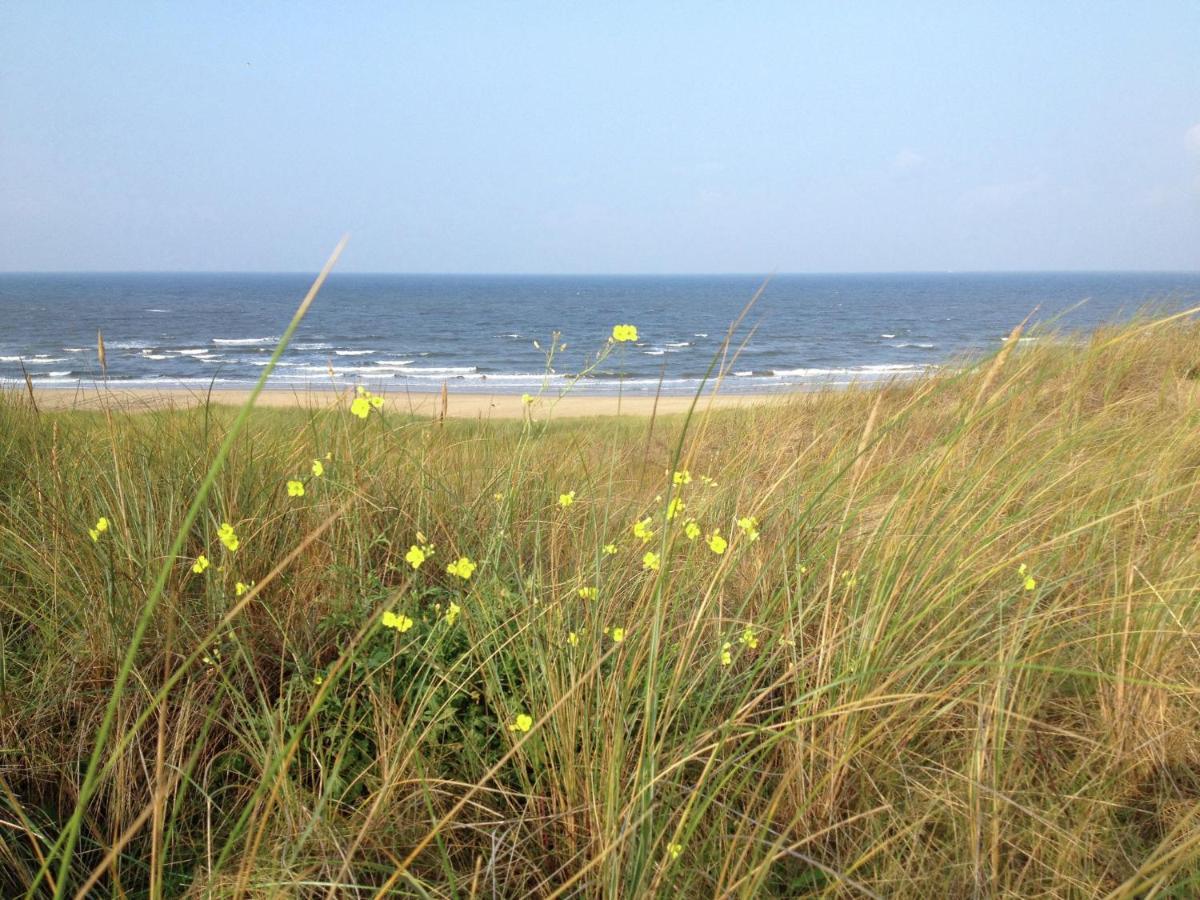 Comfortable Apartment With Sea View Bergen aan Zee Exterior foto